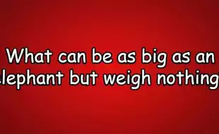 Brain Teaser Riddle Of The Day: What Can Be As Big As An Elephant But Weigh Nothing?