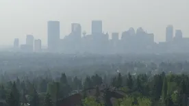 Wildfire smoke pollution linked to thousands of annual deaths: global study