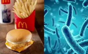 One Dead, 50 Fall Sick Due To E.Coli Food Poisoning After Eating McDonald's Burgers In The US