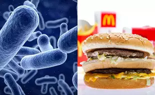 Major E.coli Outbreak In The US: Ways To Steer Clear Of The Deadly Bacteria