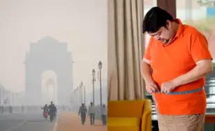 Delhi Air Pollution: Does Pollution Lead To Weight Gain? Understanding The Link