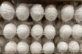 Recall issued for batches of eggs from 6 Canadian brands